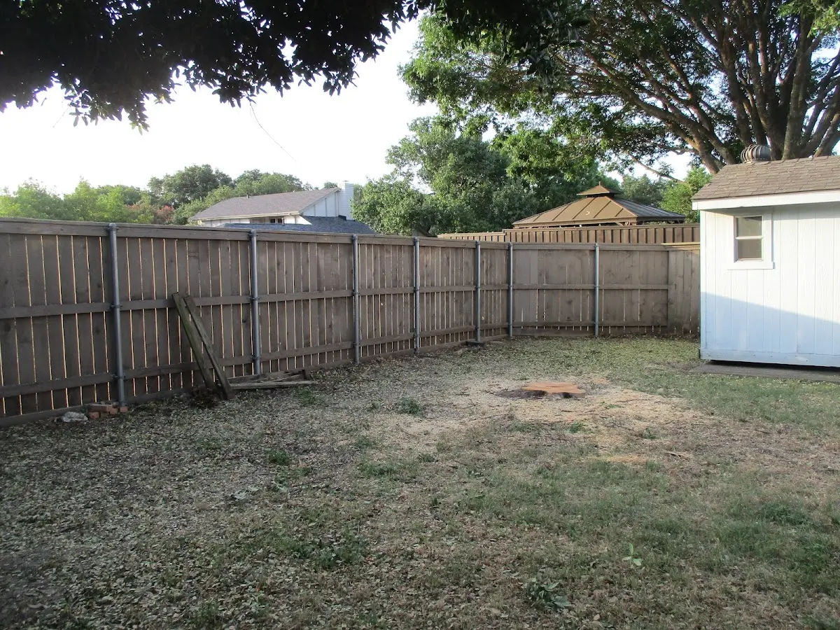 Cleared yard after professional tree removal in Nantucket